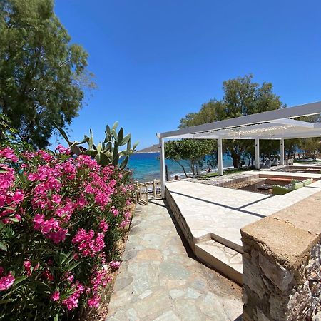Villa Aristoteles Chalki Town Exterior foto