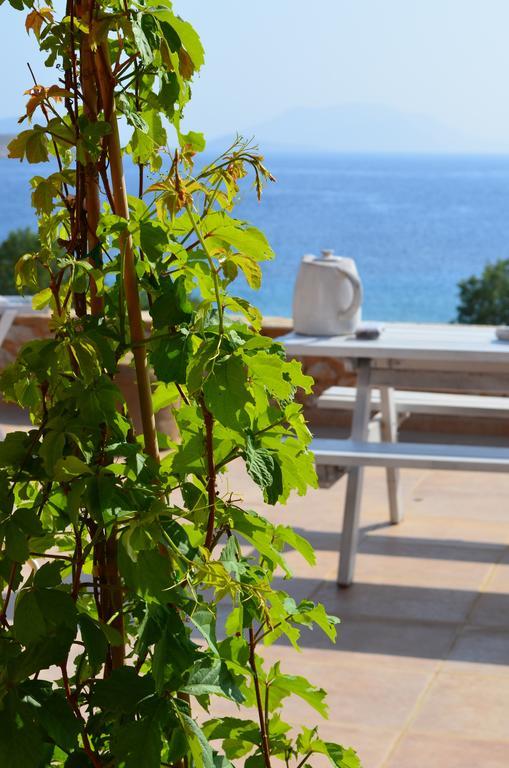 Villa Aristoteles Chalki Town Zimmer foto